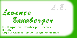 levente baumberger business card